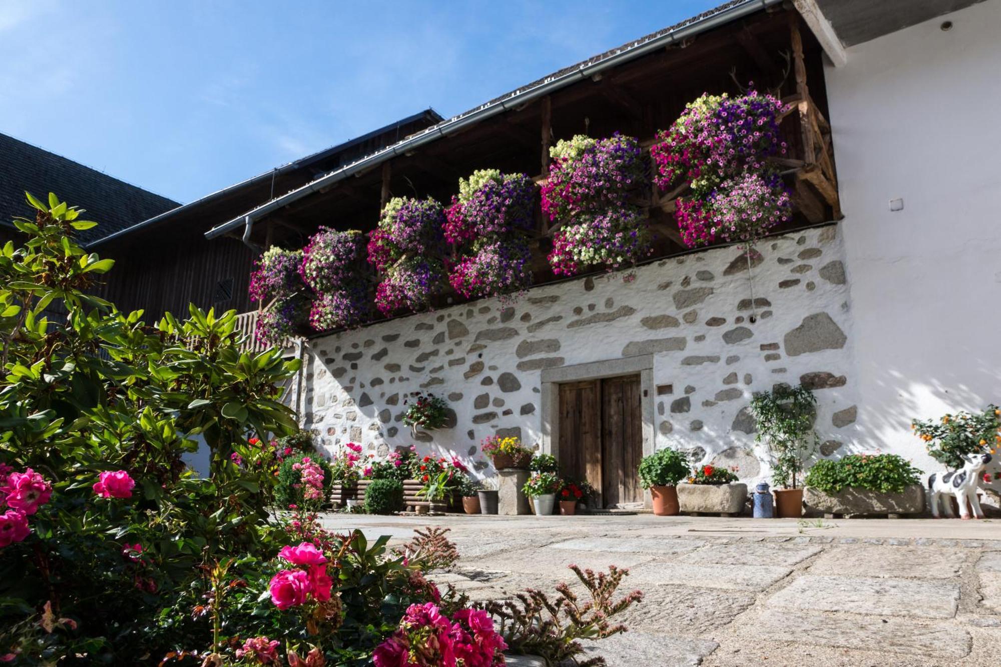 Gasthof Pammer Hotel Mardetschlag Exterior photo